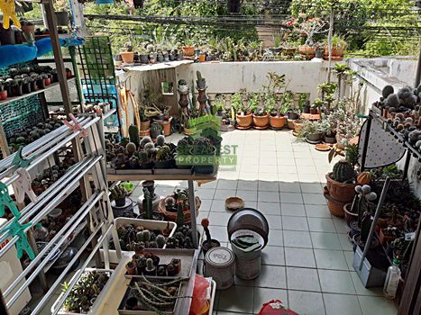 ขายด่วน-ทาวน์เฮ้าส์-2-ชั้น-ซนุกูลกิจ-3-ถวงเวียน-3-เนื้อที่-2240-ตรว-ตสะเตง-เมืองยะลา