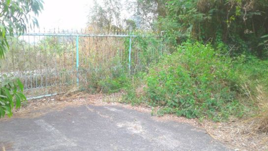 ขายด่วน-ที่ดินเปล่า-ติดถนน-หนองจอก-เนื้อที่-9030-ตรว-ถมิตรไมตรี-6-7-เขต-แขวงหนองจอก-กรุงเทพฯ