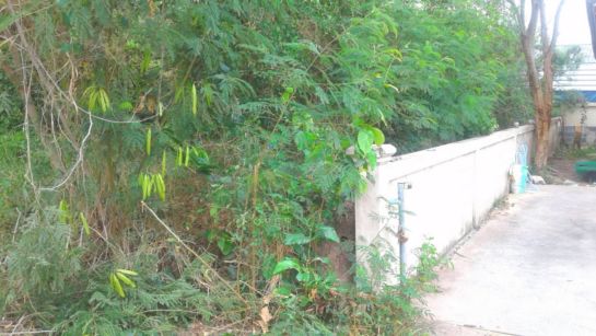 ขายด่วน-ที่ดินเปล่า-ติดถนน-หนองจอก-เนื้อที่-9030-ตรว-ถมิตรไมตรี-6-7-เขต-แขวงหนองจอก-กรุงเทพฯ