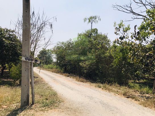 ขาย-ที่ดินสวนเกษตร-โครงการบ้านสวนโพธิ์ทอง-38540-ตรว-อบตพลับพลาไชย-ที่สวย-มีน้ำ-ไฟ-พร้อม