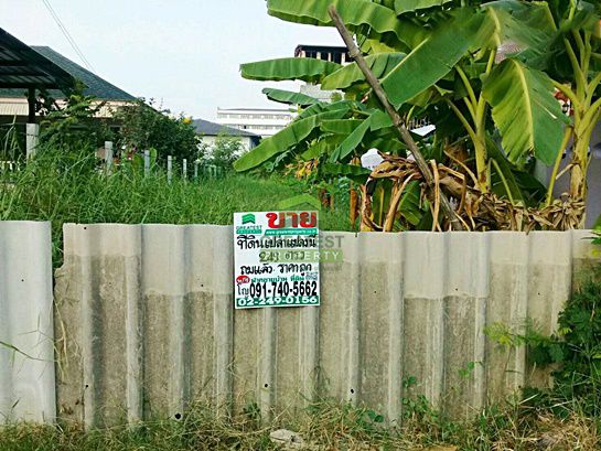 ขายด่วน-ที่ดินเปล่าถมแล้ว-ซอย-วัดโชติการาม-ถนน-นครอินทร์-พระราม5-เนื้อที่-249-ตรว-บางไผ่-เมืองนนทบุ