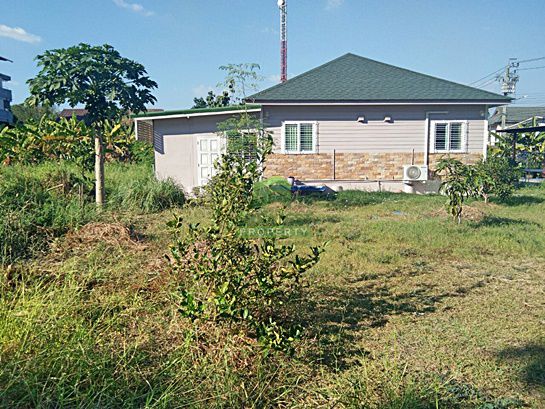 ขายด่วน-ที่ดินเปล่าถมแล้ว-ซอย-วัดโชติการาม-ถนน-นครอินทร์-พระราม5-เนื้อที่-249-ตรว-บางไผ่-เมืองนนทบุ