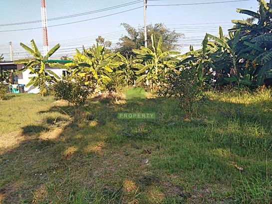 ขายด่วน-ที่ดินเปล่าถมแล้ว-ซอย-วัดโชติการาม-ถนน-นครอินทร์-พระราม5-เนื้อที่-249-ตรว-บางไผ่-เมืองนนทบุ