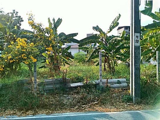 ขายด่วน-ที่ดินเปล่าถมแล้ว-ซอย-วัดโชติการาม-ถนน-นครอินทร์-พระราม5-เนื้อที่-249-ตรว-บางไผ่-เมืองนนทบุ