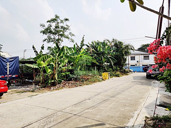 ขายด่วน-ที่ดินเปล่า-เนื้อที่-340-ตรว-หมู่บ้าน-ธารทอง-2-ซอยวัดลาดปลาดุก-แปลงมุม-ติดถนน-3-ด้าน