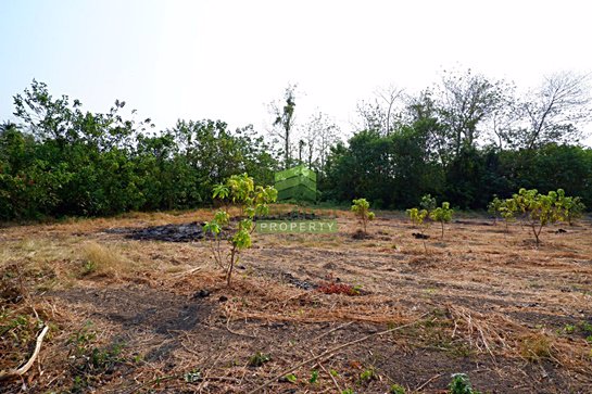 ขายด่วน-ที่ดินเปล่า-หัวปลวก-เสาไห้-สระบุรี-เนืัอที่-10-ไร่-เหมาะสำหรับสร้างโรงงาน-ทำสวนเกษตร