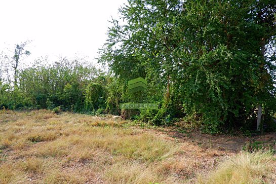 ขายด่วน-ที่ดินเปล่า-หัวปลวก-เสาไห้-สระบุรี-เนืัอที่-10-ไร่-เหมาะสำหรับสร้างโรงงาน-ทำสวนเกษตร