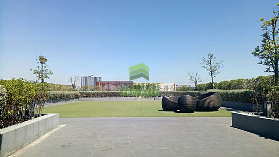 คอนโด-ทรอปิคาน่า-เอราวัณ-tropicana-bts-erawan-ขายด่วน-คอนโดห้องชุด-อาคารบี-ชั้น-2-เนื้อที่-2920-ตร