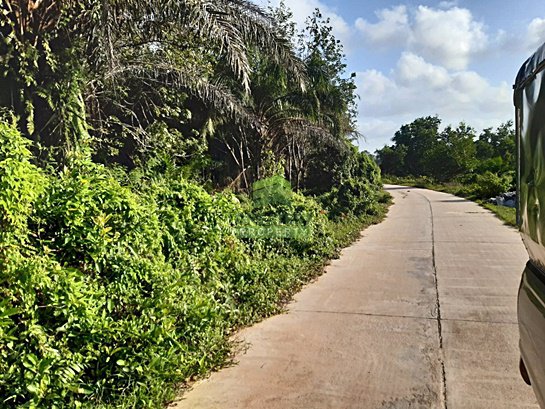 ขายที่ดิน-พร้อมสวนยางพารา-เนื้อที่-3-ไร่-3-งาน-698-ตารางวา-ซอย-พณาสนฑ์-ถนน-พณาสนฑ์-เมืองนราธิวาส