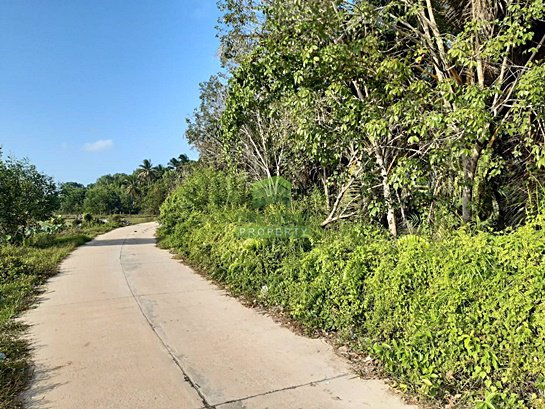 ขายที่ดิน-พร้อมสวนยางพารา-เนื้อที่-3-ไร่-3-งาน-698-ตารางวา-ซอย-พณาสนฑ์-ถนน-พณาสนฑ์-เมืองนราธิวาส