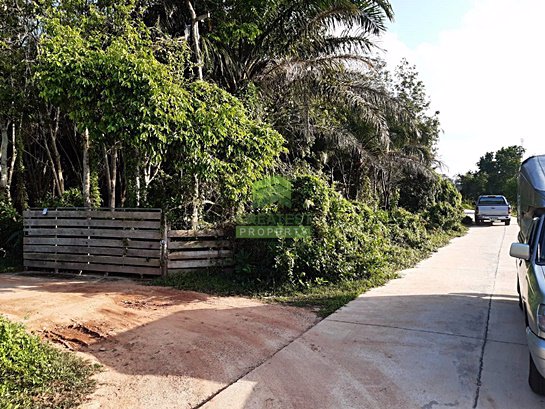 ขายที่ดิน-พร้อมสวนยางพารา-เนื้อที่-3-ไร่-3-งาน-698-ตารางวา-ซอย-พณาสนฑ์-ถนน-พณาสนฑ์-เมืองนราธิวาส