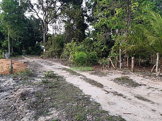 ขายด่วน-ที่ดินเปล่า-ซอย-หน้าถ้ำ-โคกเคียน-เมืองนราธิวาส-เนื้อที่-280-ตรว-พร้อมเข้าทำประโยชน์