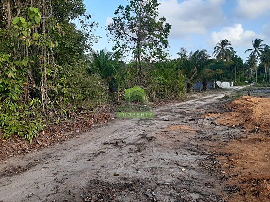 ขายด่วน-ที่ดินเปล่า-ซอย-หน้าถ้ำ-โคกเคียน-เมืองนราธิวาส-เนื้อที่-280-ตรว-พร้อมเข้าทำประโยชน์