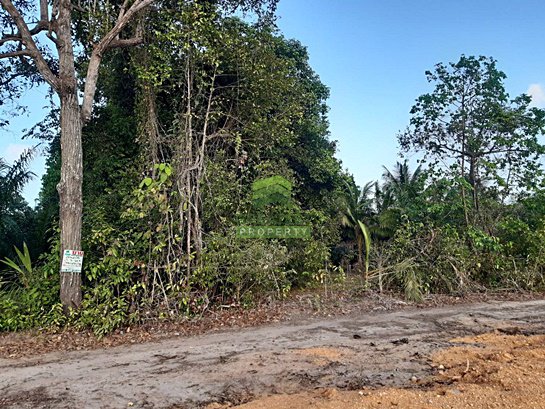 ขายด่วน-ที่ดินเปล่า-ซอย-หน้าถ้ำ-โคกเคียน-เมืองนราธิวาส-เนื้อที่-280-ตรว-พร้อมเข้าทำประโยชน์