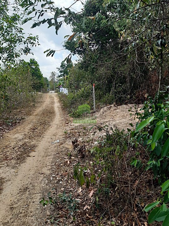 ขายด่วน-ที่ดินเปล่า-ซอย-กำลังชัย-เนื้อที่-4990-ตรว-ถนน-สนามบิน-ลพบุรีราเมศวร์-ควนลัง-หาดใหญ่-สงขลา