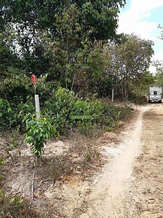 ขายด่วน-ที่ดินเปล่า-ซอย-กำลังชัย-เนื้อที่-4990-ตรว-ถนน-สนามบิน-ลพบุรีราเมศวร์-ควนลัง-หาดใหญ่-สงขลา