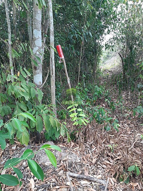 ขายด่วน-ที่ดินเปล่า-ซอย-กำลังชัย-เนื้อที่-4990-ตรว-ถนน-สนามบิน-ลพบุรีราเมศวร์-ควนลัง-หาดใหญ่-สงขลา