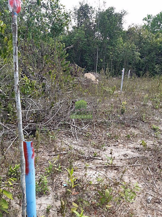 ขายด่วน-ที่ดินเปล่า-ซอย-กำลังชัย-เนื้อที่-4990-ตรว-ถนน-สนามบิน-ลพบุรีราเมศวร์-ควนลัง-หาดใหญ่-สงขลา