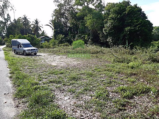 ขายด่วน-ที่ดินเปล่า-ตำบล-เจ๊ะเห-อำเภอ-ตากใบ-จังหวัด-นราธิวาส-เนื้อที่-170-ตรว-ทำเลดี