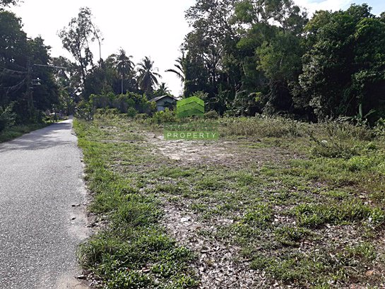 ขายด่วน-ที่ดินเปล่า-ตำบล-เจ๊ะเห-อำเภอ-ตากใบ-จังหวัด-นราธิวาส-เนื้อที่-170-ตรว-ทำเลดี