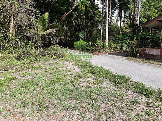 ขายด่วน-ที่ดินเปล่า-ตำบล-เจ๊ะเห-อำเภอ-ตากใบ-จังหวัด-นราธิวาส-เนื้อที่-170-ตรว-ทำเลดี