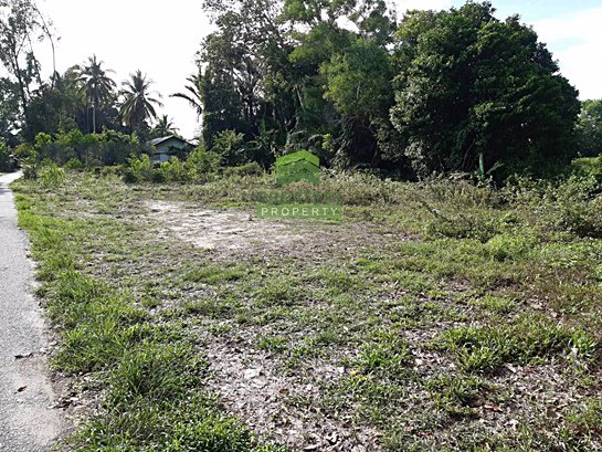 ขายด่วน-ที่ดินเปล่า-ตำบล-เจ๊ะเห-อำเภอ-ตากใบ-จังหวัด-นราธิวาส-เนื้อที่-170-ตรว-ทำเลดี