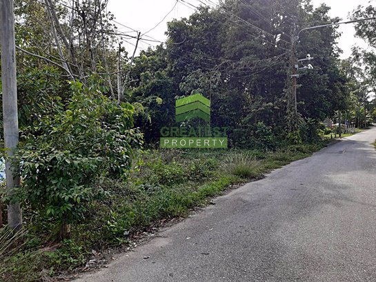 ขายด่วน-ที่ดินเปล่า-ตำบล-เจ๊ะเห-อำเภอ-ตากใบ-นราธิวาส-เนื้อที่-1-ไร่-45-ตารางวา-ติดถนน-ทำเลดี