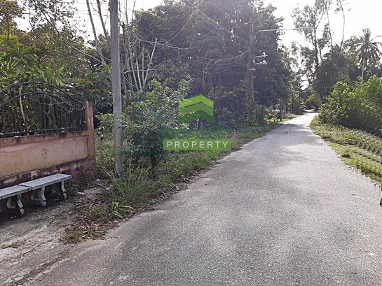 ขายด่วน-ที่ดินเปล่า-ตำบล-เจ๊ะเห-อำเภอ-ตากใบ-นราธิวาส-เนื้อที่-1-ไร่-45-ตารางวา-ติดถนน-ทำเลดี