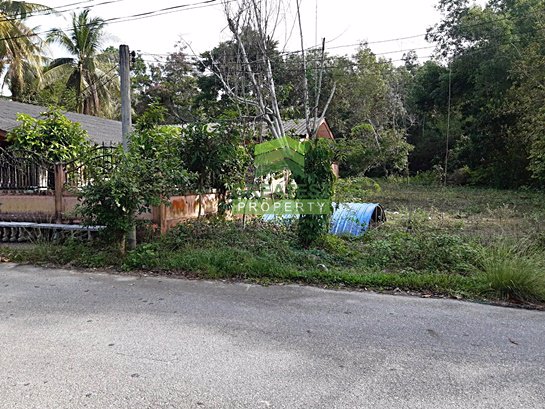 ขายด่วน-ที่ดินเปล่า-ตำบล-เจ๊ะเห-อำเภอ-ตากใบ-นราธิวาส-เนื้อที่-1-ไร่-45-ตารางวา-ติดถนน-ทำเลดี