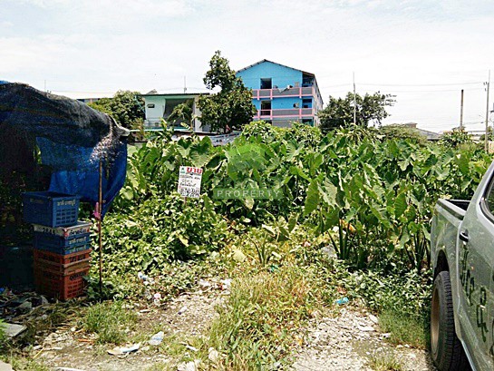 ขายด่วน-ที่ดินเปล่า-ตำบล-ยายชา-สามพราน-นครปฐม-เนื้อที่-124-ตรว-ทำเลดี-ใกล้ถนน-เพชรเกษม