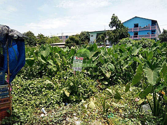 ขายด่วน-ที่ดินเปล่า-ตำบล-ยายชา-สามพราน-นครปฐม-เนื้อที่-124-ตรว-ทำเลดี-ใกล้ถนน-เพชรเกษม