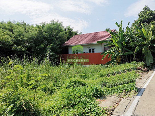 ขายด่วน-ที่ดินเปล่า-ซอย-นายตึ๋ง-เนื้อที่-50-ตรว-ศาลากลาง-นนทบุรี-ทำเลดี-ติดถนน