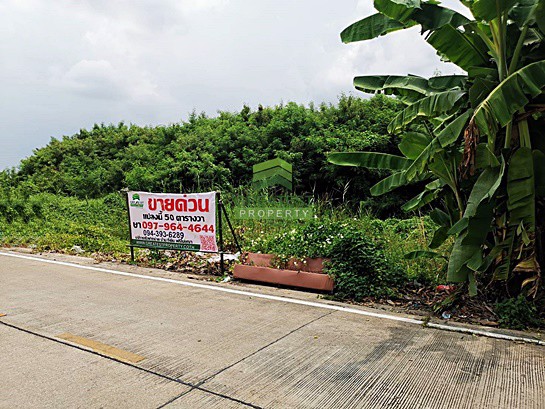 ขายด่วน-ที่ดินเปล่า-ซอย-นายตึ๋ง-เนื้อที่-50-ตรว-ศาลากลาง-นนทบุรี-ทำเลดี-ติดถนน