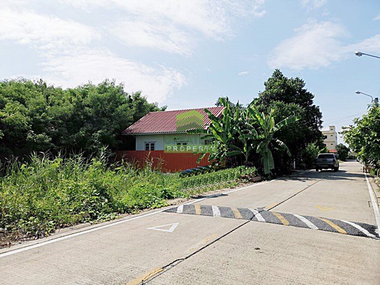 ขายด่วน-ที่ดินเปล่า-ซอย-นายตึ๋ง-เนื้อที่-50-ตรว-ศาลากลาง-นนทบุรี-ทำเลดี-ติดถนน