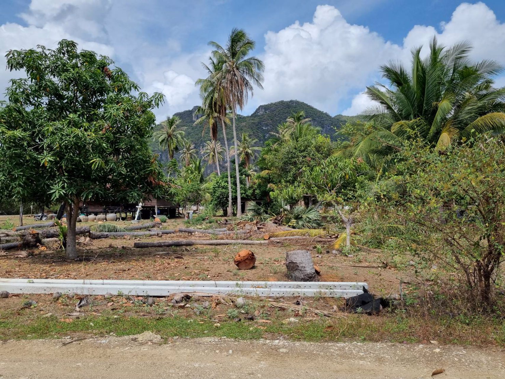 ขายที่ดินเปล่ามีโฉนด-231-ตารางวา-ไม่ไกลทะเลหาดสามร้อยยอด