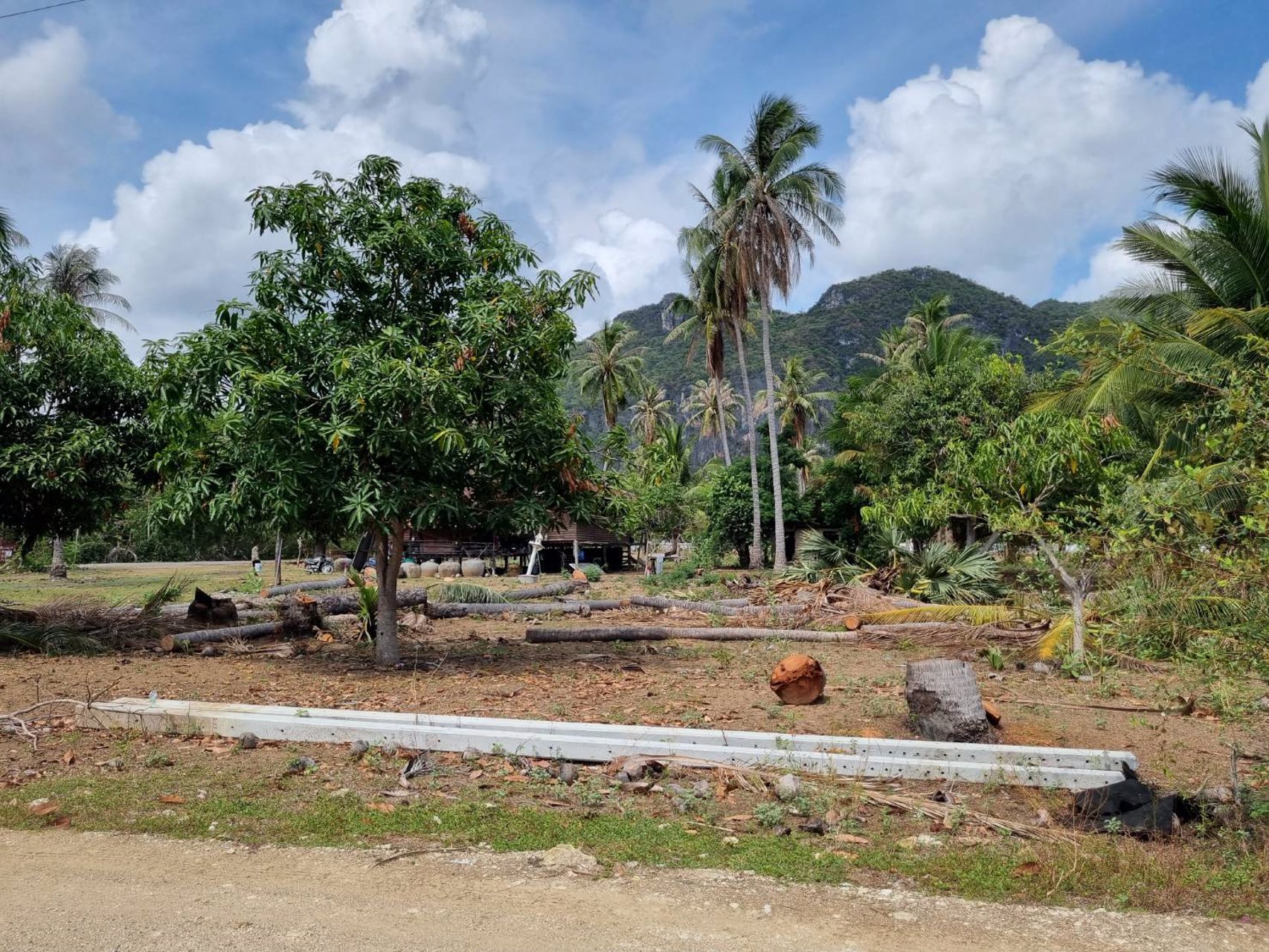 ขายที่ดินเปล่ามีโฉนด-231-ตารางวา-ไม่ไกลทะเลหาดสามร้อยยอด