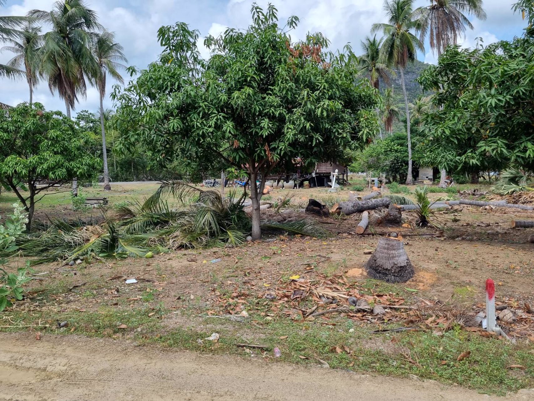 ขายที่ดินเปล่ามีโฉนด-231-ตารางวา-ไม่ไกลทะเลหาดสามร้อยยอด