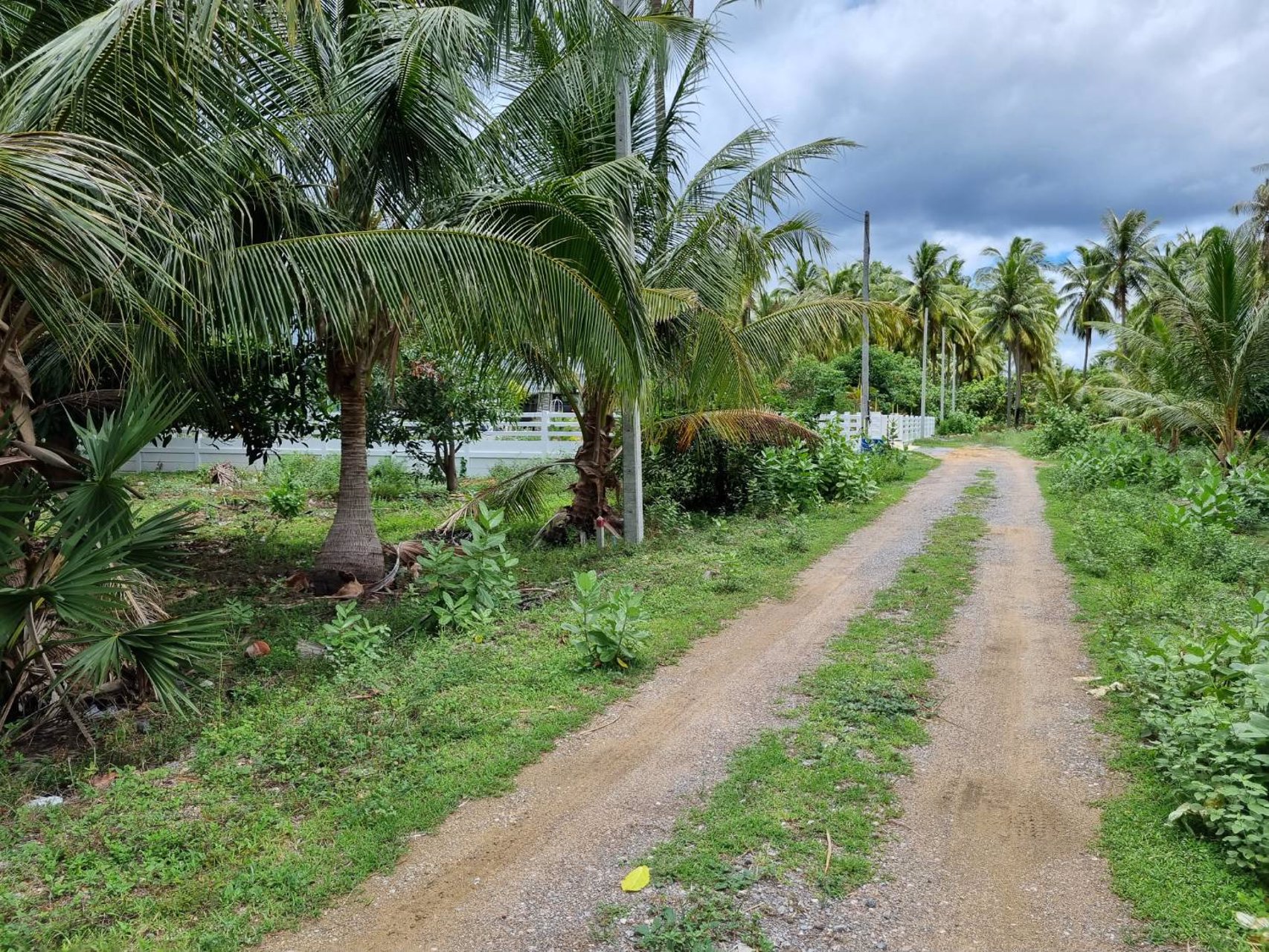 ขายที่ดินเปล่า-มีโฉนด-เนื้อที่-115-ตารางวา-มี3แปลงติดกัน-