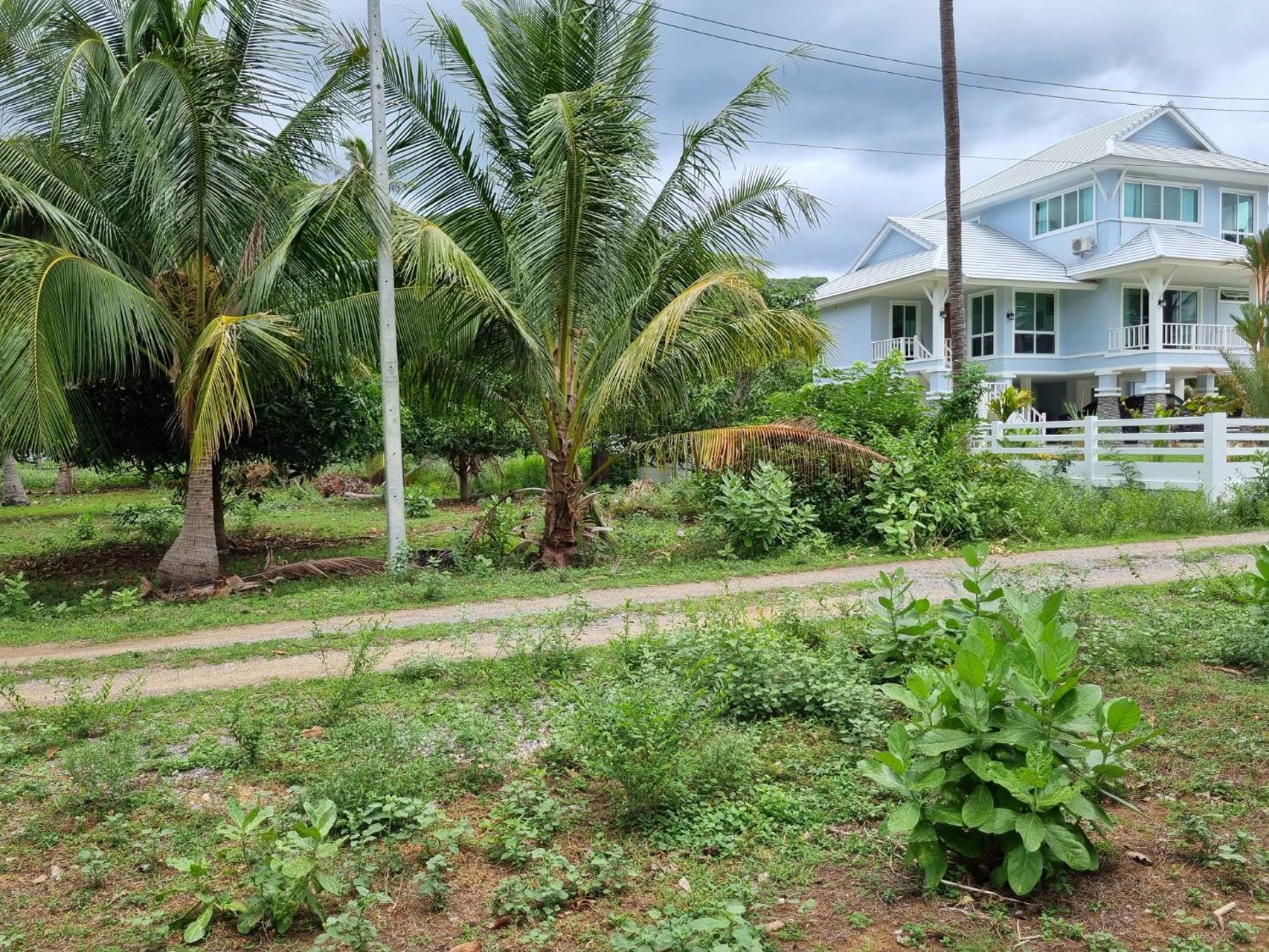 ขายที่ดินเปล่า-มีโฉนด-เนื้อที่-115-ตารางวา-มี3แปลงติดกัน-