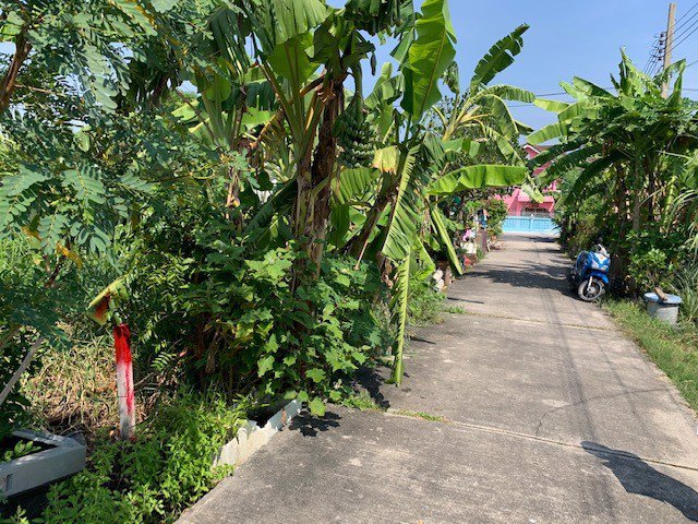 ขายที่ดิน-83-ตรว-ใกล้-ถเทพารักษ์