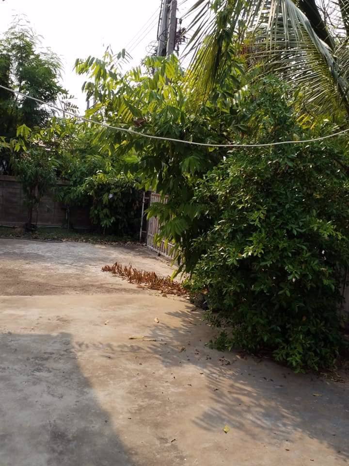 ขายบ้านเดี่ยวชั้นเดียว-มพิบูลธานี-อเมือง-จมหาสารคาม