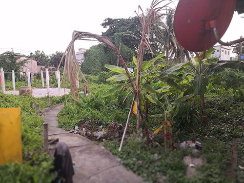 ให้เช่า-ที่ดินหมู่บ้านเศรษฐกิจ-พื้นที่ประมาณ-1-ไร่-ที่อยู่-บางไผ่-บางแค-กรุงเทพมหานคร