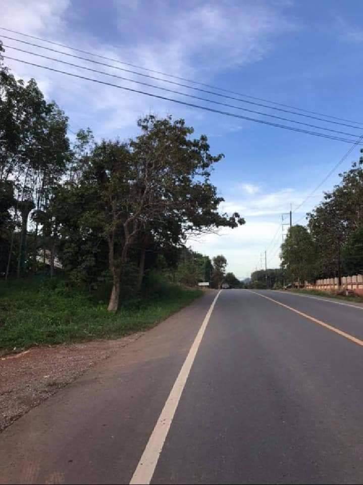 ขายที่ดินติดถนนเส้นท่าหาด-เนื้อที่-5-ไร่-90-ตรวา-5-0-90-