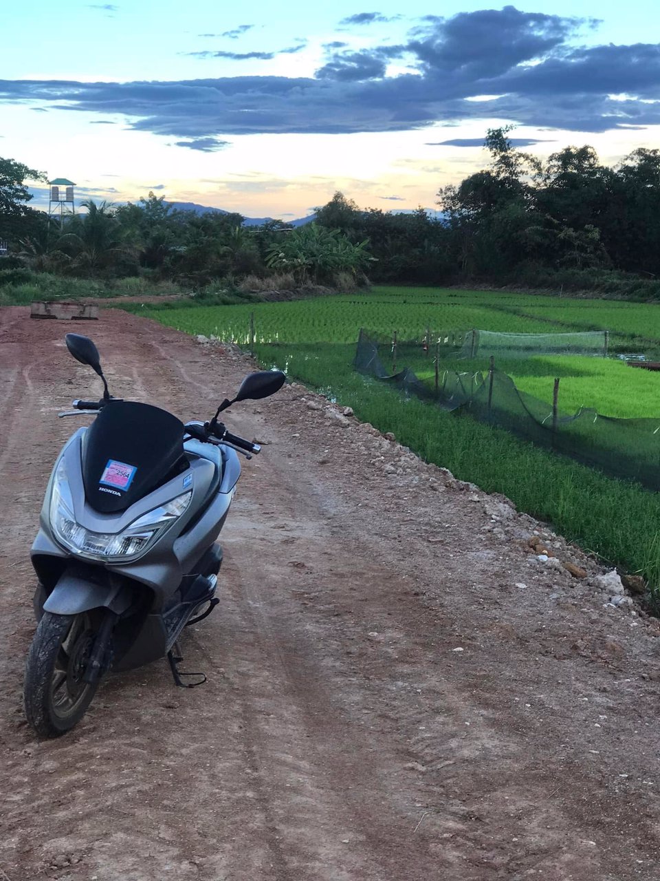 ขายที่ดิน-ว่างเปล่า-พร้อมถม-เขตเทศบาลตำบลบ่อแฮ้ว