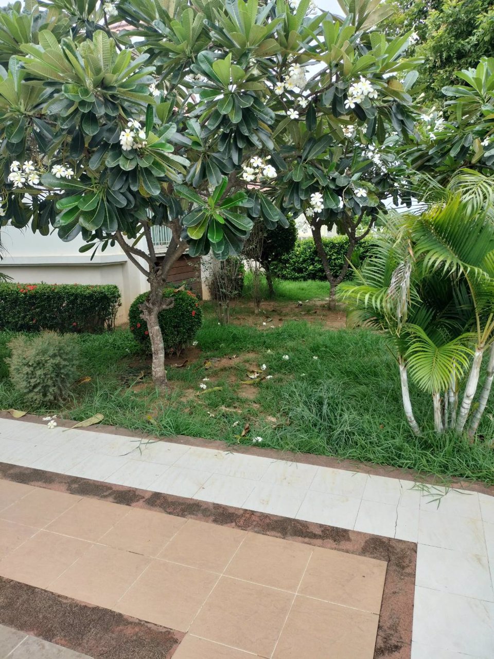 ขายบ้านเดี่ยวชั้นเดียว-หมู่บ้านพฤกษาธารา-พิษณุโลก