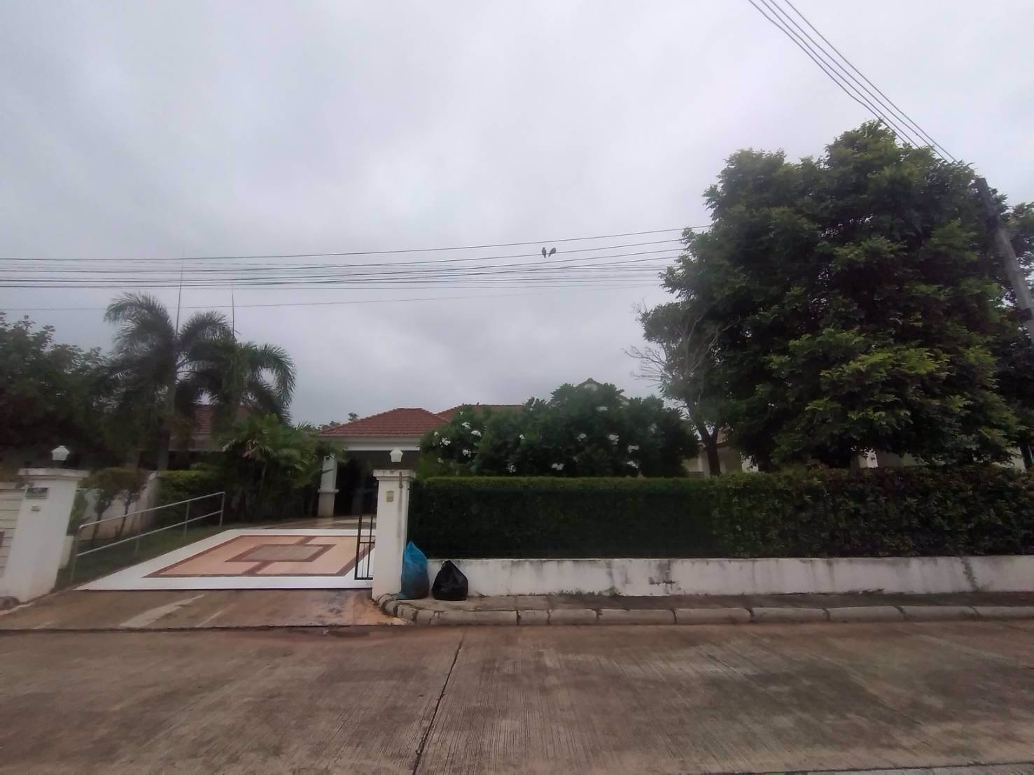 ขายบ้านเดี่ยวชั้นเดียว-หมู่บ้านพฤกษาธารา-พิษณุโลก