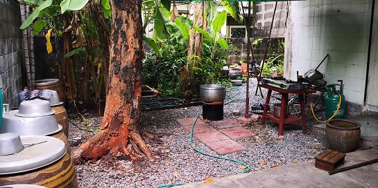 ขายบ้านเดี่ยว-2-ชั้น-ทำเลดีมาก-80-ตรว-เสนานิเวศน์-โครงการ-1-ใกล้เกษตร-นวมินทร์