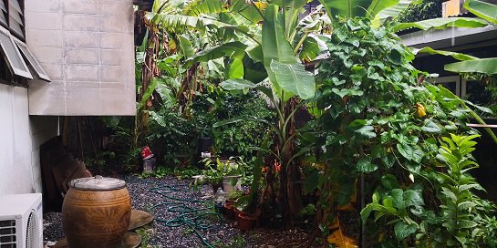 ขายบ้านเดี่ยว-2-ชั้น-ทำเลดีมาก-80-ตรว-เสนานิเวศน์-โครงการ-1-ใกล้เกษตร-นวมินทร์