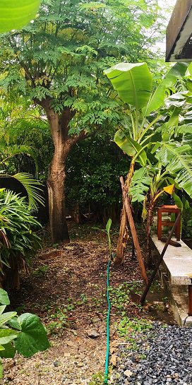 ขายบ้านเดี่ยว-2-ชั้น-ทำเลดีมาก-80-ตรว-เสนานิเวศน์-โครงการ-1-ใกล้เกษตร-นวมินทร์