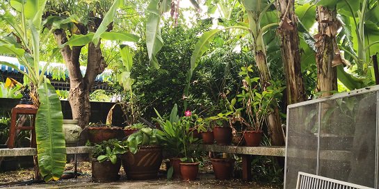 ขายบ้านเดี่ยว-2-ชั้น-ทำเลดีมาก-80-ตรว-เสนานิเวศน์-โครงการ-1-ใกล้เกษตร-นวมินทร์